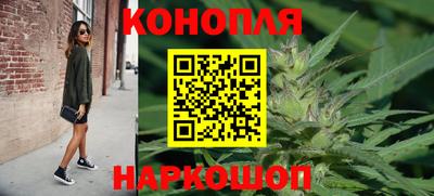 крисы Бузулук