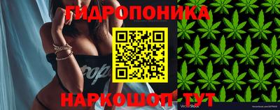 меф Будённовск