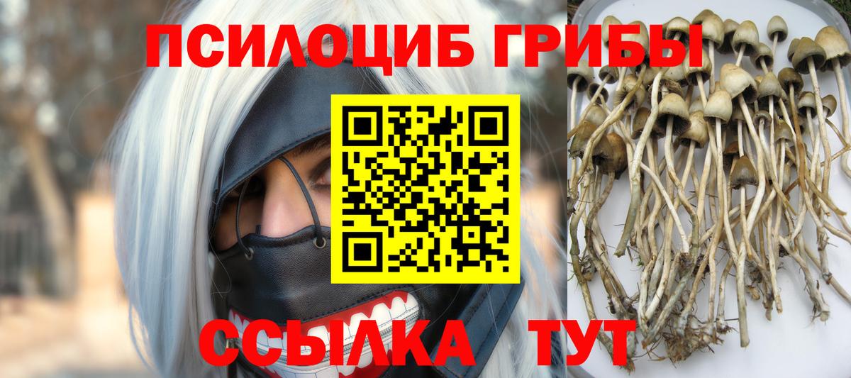 Псилоцибиновые грибы ЛСД  Псилоцибиновые грибы MAGIC MUSHROOMS  Тула  Вход с VPN 